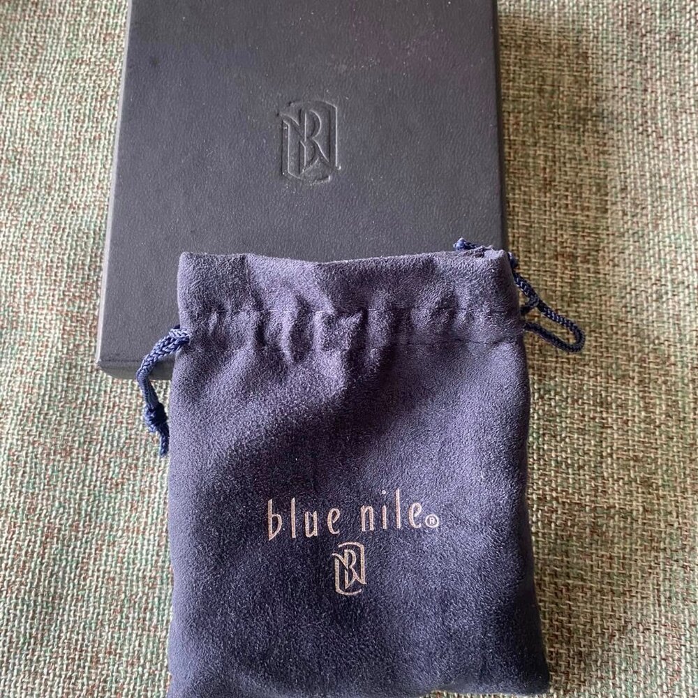 Blue Nile Stainless Steel Money Clip - NEW! Never used.